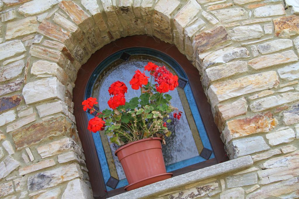 Hotel Ristorante Belsito Borgo San Dalmazzo Bagian luar foto